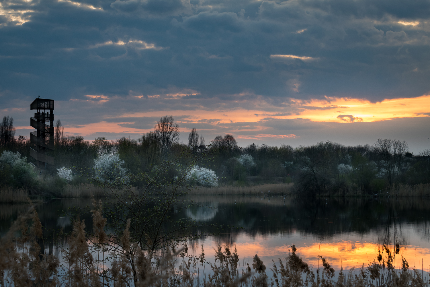 Alicja Masztalerz 3c.jpg